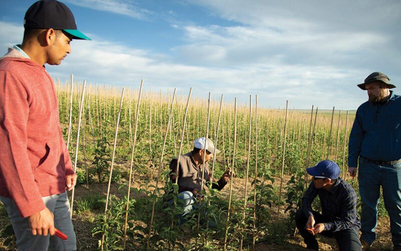 SEMINARIANS MIGRANTS YAKIMA